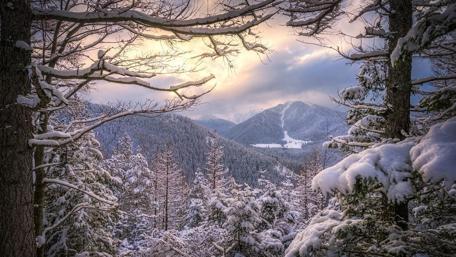 Snowy winter landscape ️❄️ wallpaper