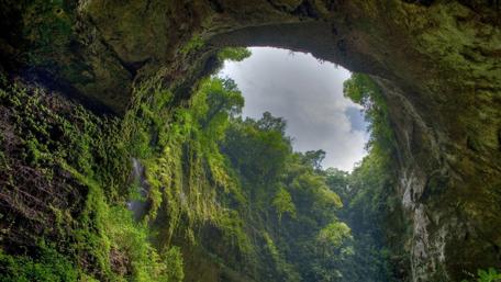 Cave in El Yunque National Forest wallpaper