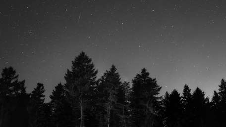 Starry night monochrome wallpaper