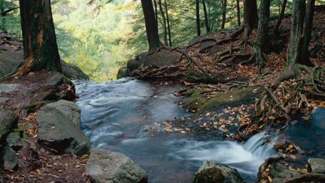 Buttermilk Falls State Park wallpaper