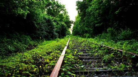 Abandoned railway line wallpaper
