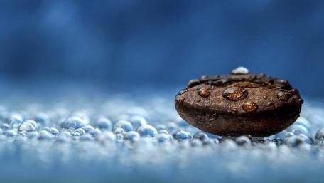 Coffee bean wallpaper