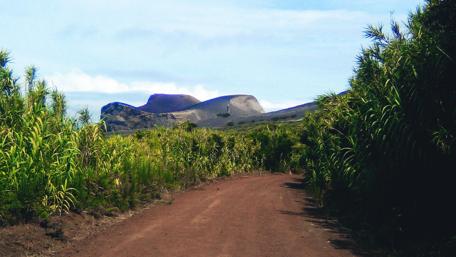 Serene Path Through Majestic Landscape wallpaper