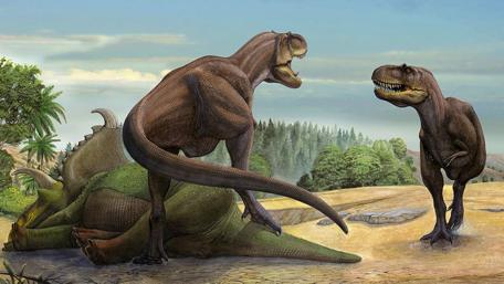 Tyrannosaurus rex wallpaper