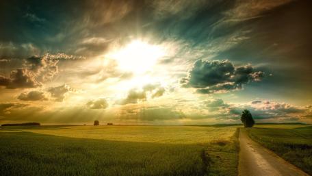 Morning sunlight above the field☀️ wallpaper