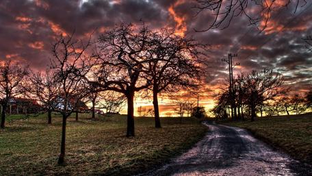 Sunset in the countryside wallpaper