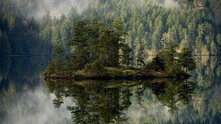 Beautiful green island wallpaper