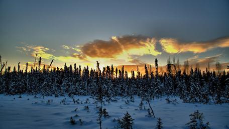 Alaskan winter landscape wallpaper