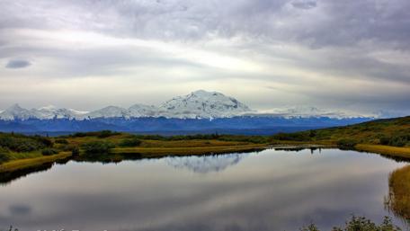 Denali National Park - Alaska wallpaper