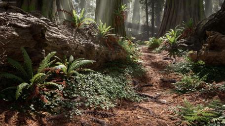 Deep forest wallpaper