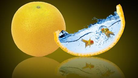 Goldfish in the orange - Digital art wallpaper