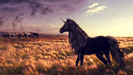 Unicorn on the field wallpaper