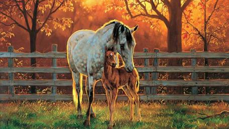 Horse family wallpaper