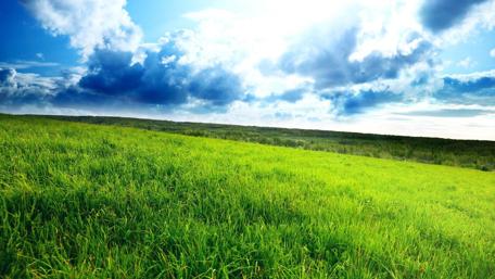 Blue sky above the grassland wallpaper