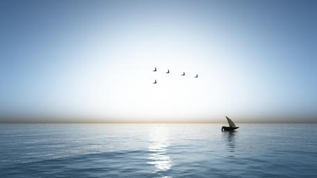 Seabirds in the blue sky wallpaper