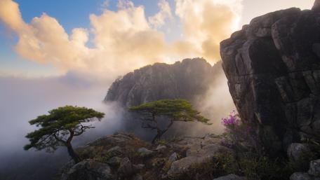 Cloudy morning in the mountainside wallpaper