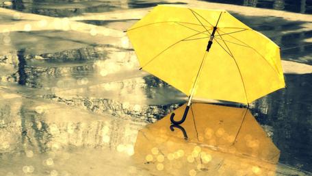 Yellow umbrella in the rain ☔️☂️ wallpaper