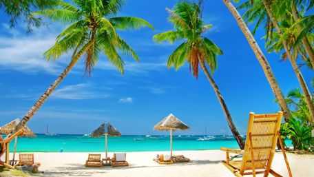 Sunbeds and palm trees on a beach wallpaper