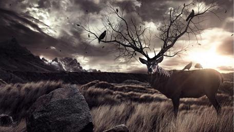 Birds sitting on a stag tree fantasy art wallpaper