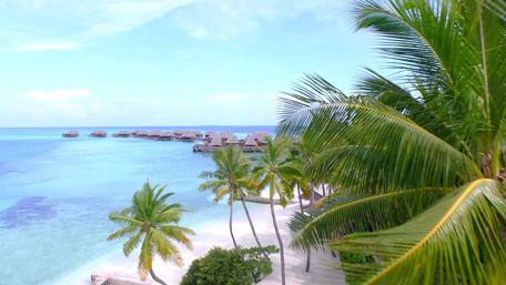 Exotic white sand beaches, palm trees and overwater villas wallpaper