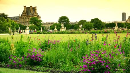 Tuileries Garden, Paris, France wallpaper