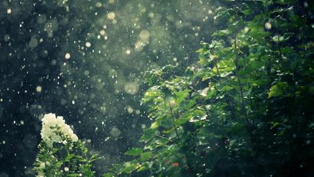 Rain drops wallpaper