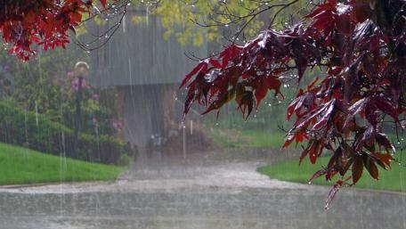 Rainy Day wallpaper