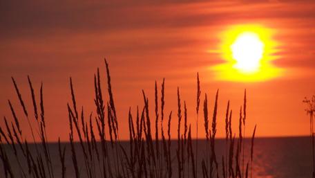 Serene Sunset Over Tranquil Waters wallpaper