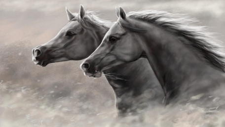 Horse art wallpaper