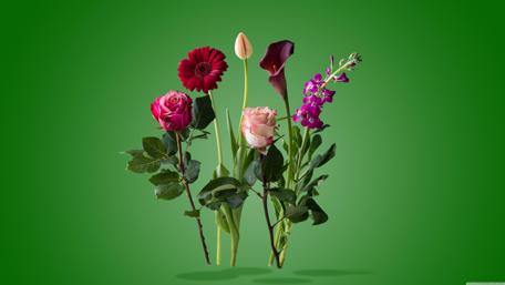 Floral design wallpaper