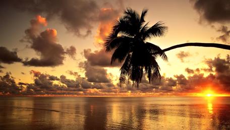 Sunset above the sea in Hawaii wallpaper