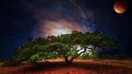 Lone tree fantasy art wallpaper