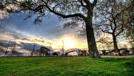 Sunrise in the park wallpaper