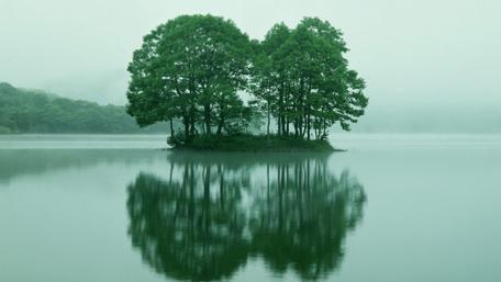 Reflected island wallpaper