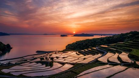 Rice terraces in Nagasaki, Japan wallpaper