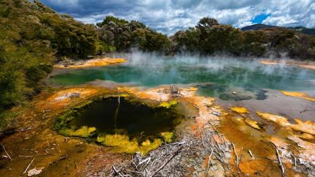 Lake Rotorua, New Zealand wallpaper