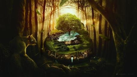 Fantasy forest wallpaper