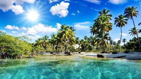 Kerala lagoon with palms, India wallpaper