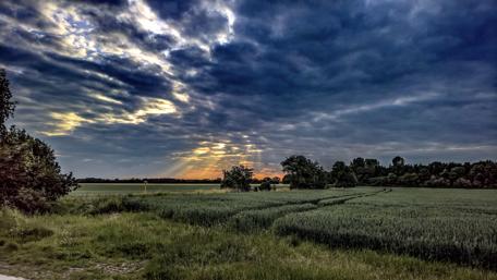 Sunset over the fields wallpaper