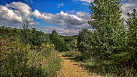 Walkways wallpaper
