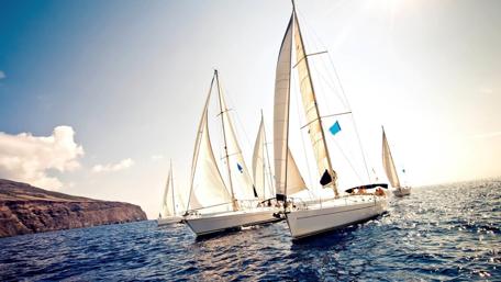 Summer Regatta wallpaper