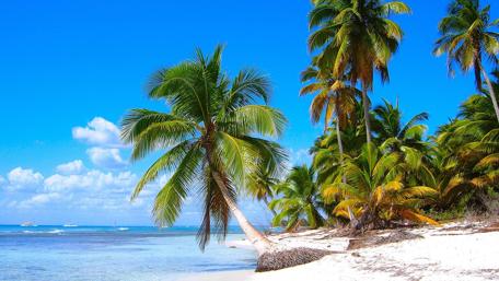 Saona Island (Isla Saona) - Dominican Republic wallpaper