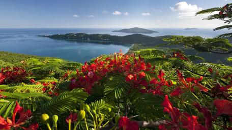 Magens Bay from Drake's Seat wallpaper