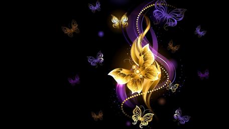 Butterfly - Digital art wallpaper
