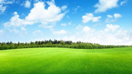 Field of grass wallpaper