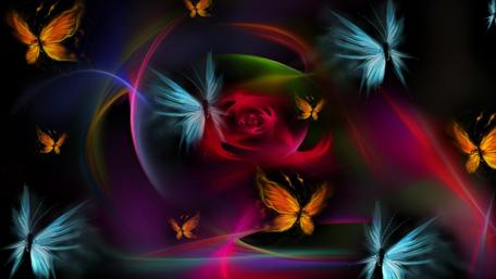 Butterflies - Digital art wallpaper