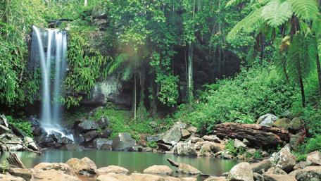 Tamborine National Park - Gold Coast Hinterland, Australia wallpaper