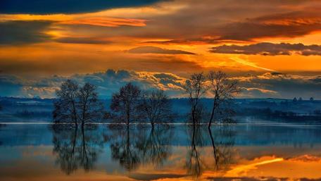 Reflection in water wallpaper