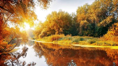 Colors of the autumn sunrise wallpaper