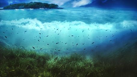 Landscape and underwater wallpaper